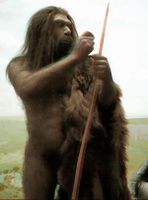 Neanderthal_2D